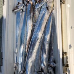 フィッシング キッタカ 釣果