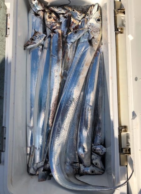 フィッシング キッタカ 釣果