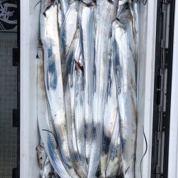 フィッシング キッタカ 釣果