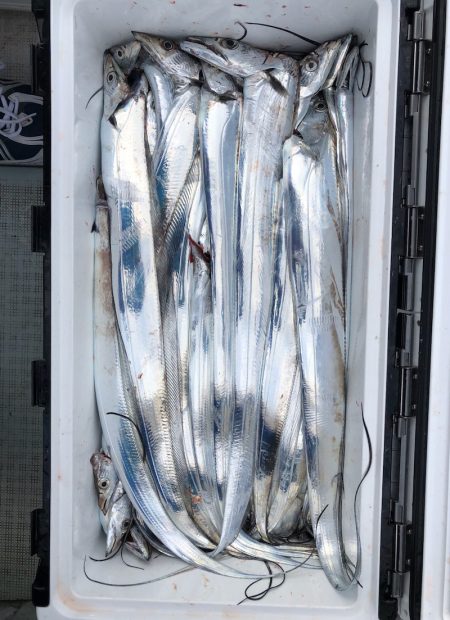 フィッシング キッタカ 釣果