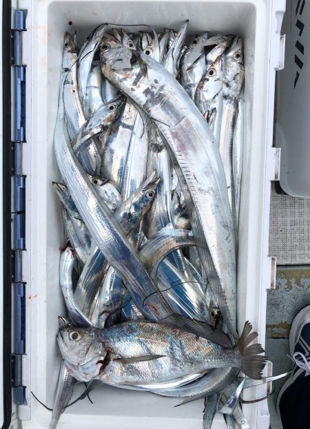 フィッシング キッタカ 釣果