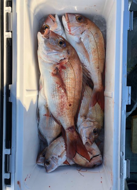 フィッシング キッタカ 釣果