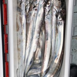 フィッシング キッタカ 釣果