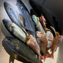 「LaGooN」蒼陽丸 日和号 釣果