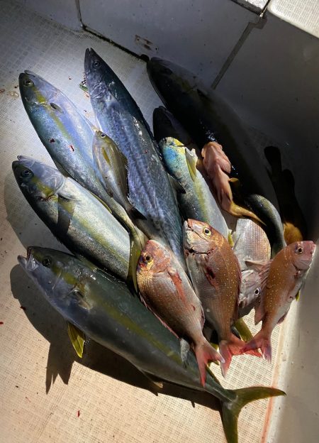 「LaGooN」蒼陽丸 日和号 釣果