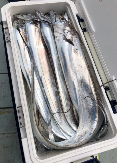 フィッシング キッタカ 釣果