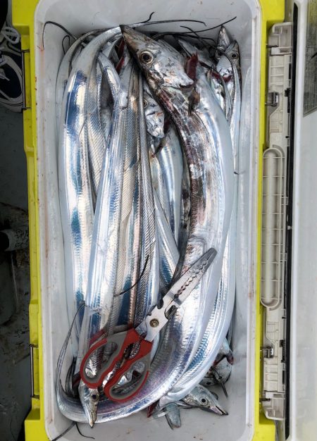 フィッシング　キッタカ 釣果