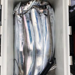 フィッシング　キッタカ 釣果