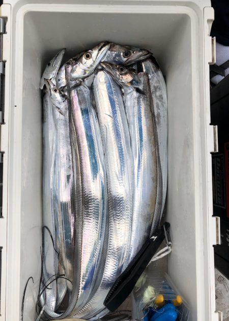 フィッシング　キッタカ 釣果