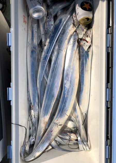 フィッシング キッタカ 釣果