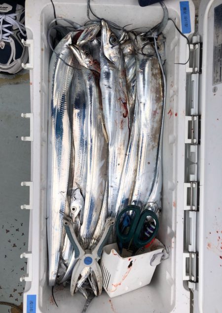 フィッシング キッタカ 釣果