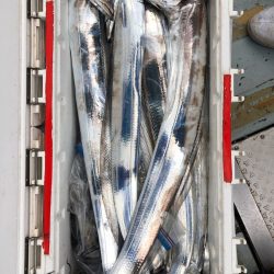 フィッシング キッタカ 釣果