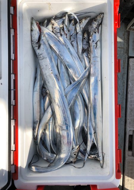 フィッシング キッタカ 釣果