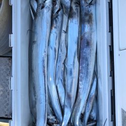 フィッシング キッタカ 釣果