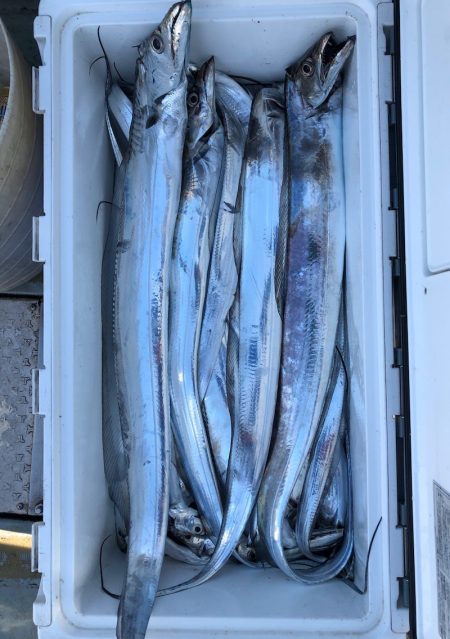 フィッシング キッタカ 釣果