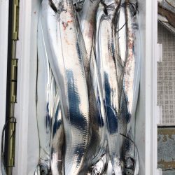 フィッシング キッタカ 釣果