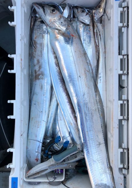 フィッシング　キッタカ 釣果