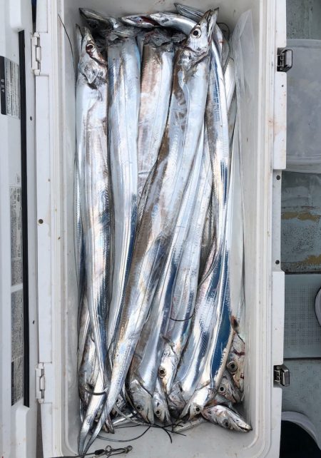 フィッシング キッタカ 釣果