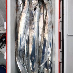 フィッシング キッタカ 釣果