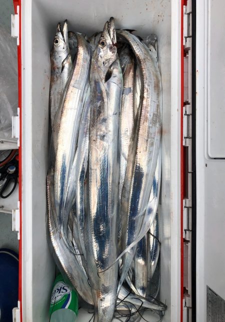 フィッシング キッタカ 釣果