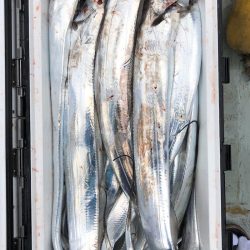 フィッシング キッタカ 釣果