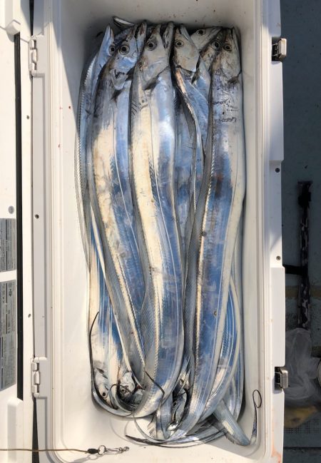 フィッシング キッタカ 釣果