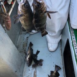 フィッシング キッタカ 釣果