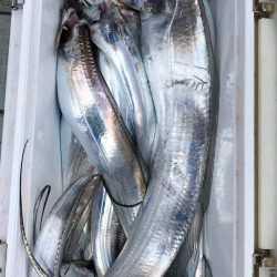 フィッシング　キッタカ 釣果