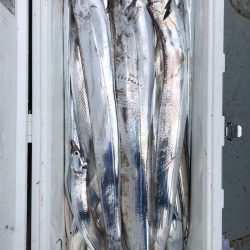 フィッシング キッタカ 釣果