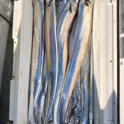 フィッシング キッタカ 釣果