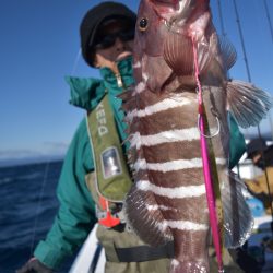 渡船屋たにぐち 釣果