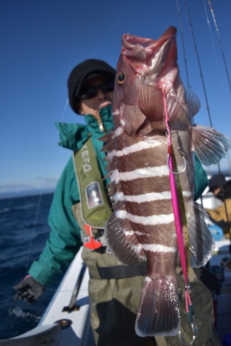 渡船屋たにぐち 釣果