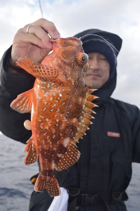 渡船屋たにぐち 釣果