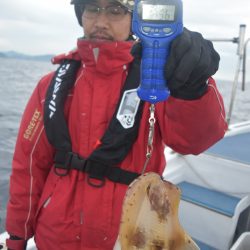 渡船屋たにぐち 釣果