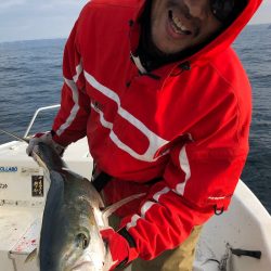 「LaGooN」蒼陽丸 日和号 釣果