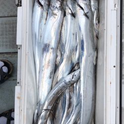 フィッシング　キッタカ 釣果