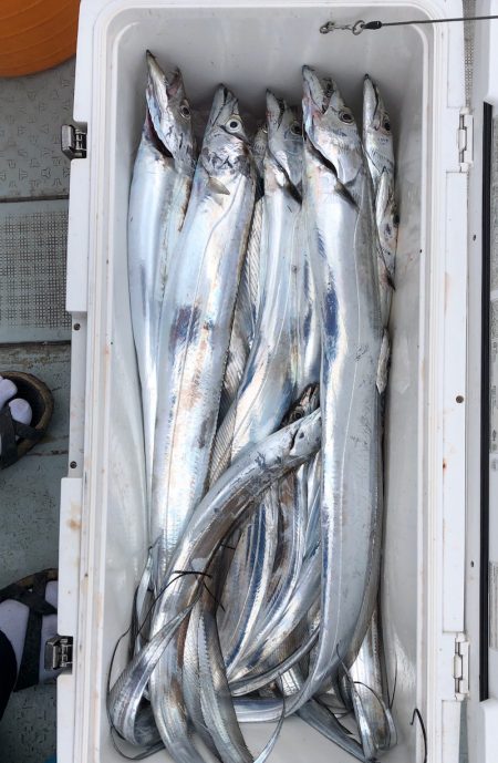 フィッシング　キッタカ 釣果