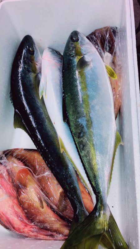 あみや渡船 JIGBOY 釣果