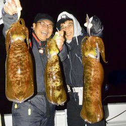 South Current 釣果