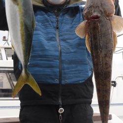 JDI Racing シールズマリンレジャー 釣果