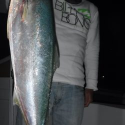 ＪＤＩ　Ｒａｃｉｎｇ　シールズマリンレジャー 釣果