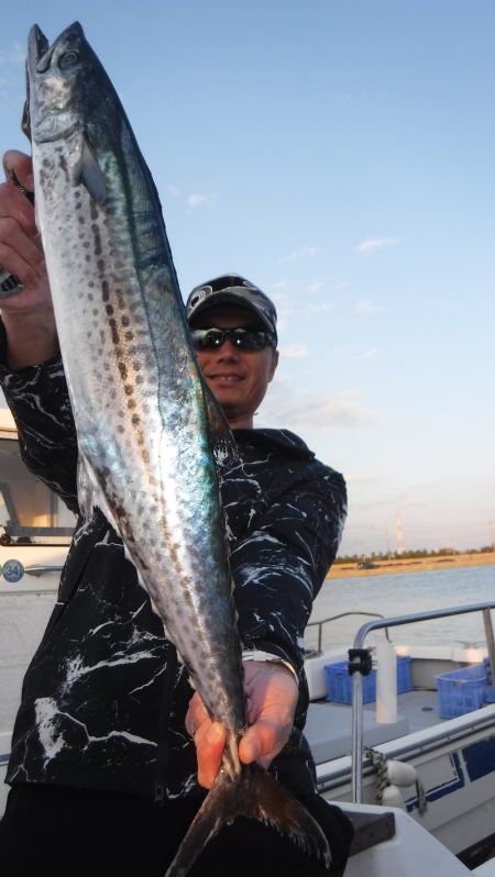 JDI Racing シールズマリンレジャー 釣果