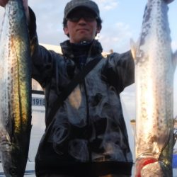 JDI Racing シールズマリンレジャー 釣果