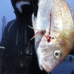 JDI Racing シールズマリンレジャー 釣果