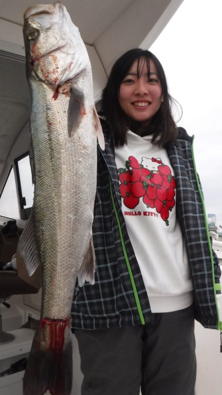 ＪＤＩ　Ｒａｃｉｎｇ　シールズマリンレジャー 釣果