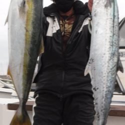 ＪＤＩ　Ｒａｃｉｎｇ　シールズマリンレジャー 釣果