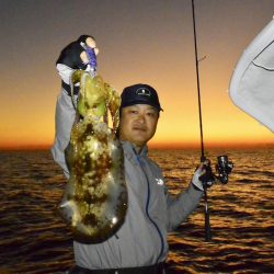 South Current 釣果