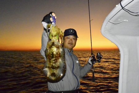 South Current 釣果