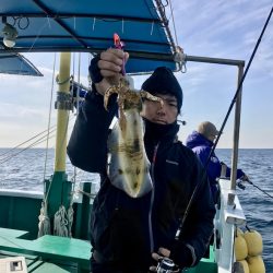 South Current 釣果