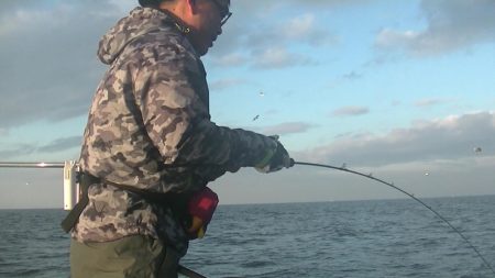 JDI Racing シールズマリンレジャー 釣果